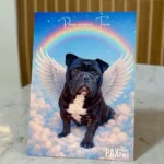 2026-02-12-11.webp